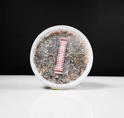 Thai Magic Mushroom Growkit - 250 cc - 7SMART