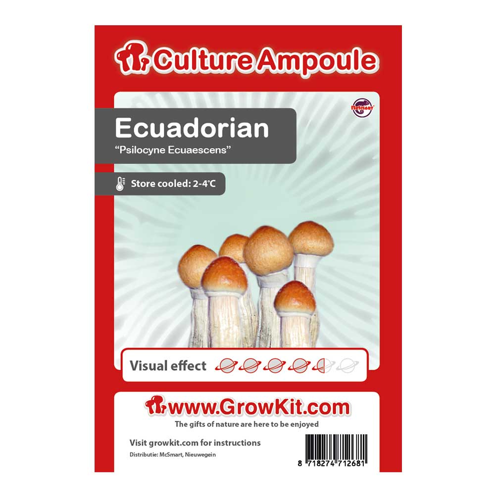 Ecuadorian Magic Mushroom - Culture Ampoule Set - 7SMART