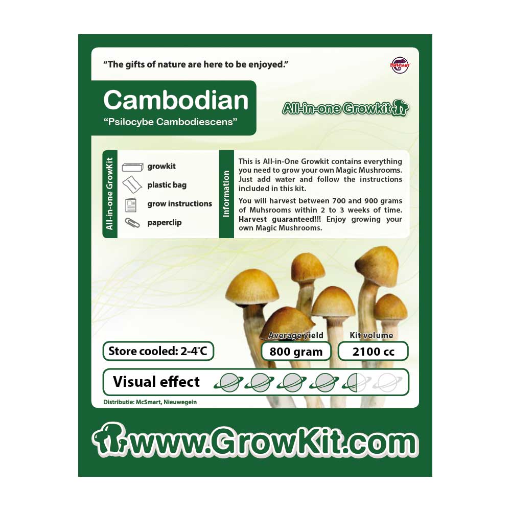 Cambodian Magic Mushroom Growkit - 2100 cc - 7SMART