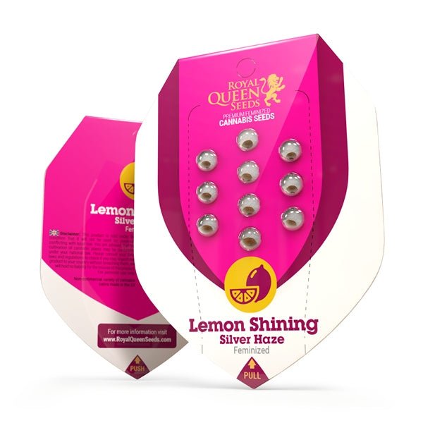 Royal Queen Seeds Lemon Shining Silver Haze - 7SMART