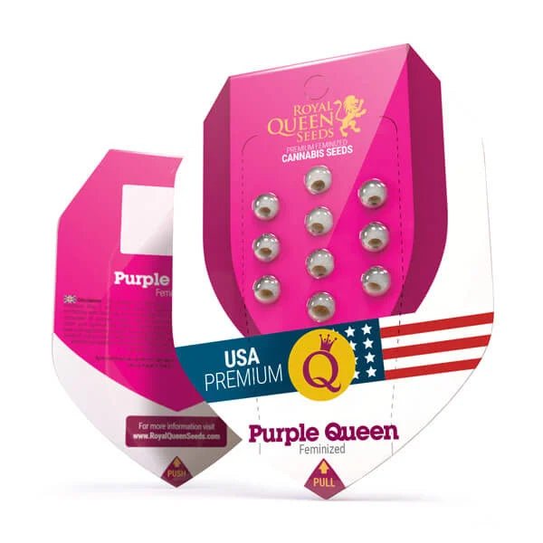Royal Queen Seeds Purple Queen - 7SMART