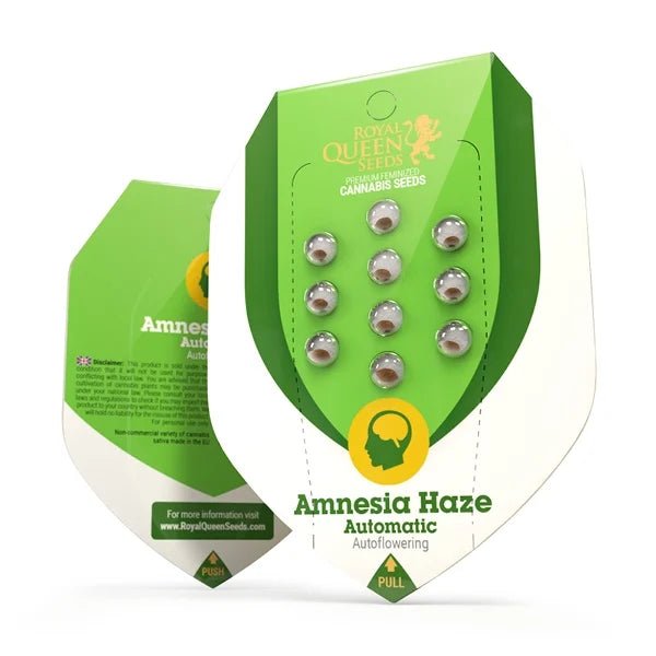 Royal Queen Seeds Amnesia Haze Auto - 7SMART
