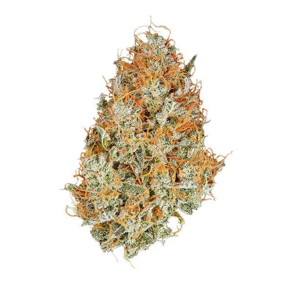 Royal Queen Seeds Amnesia Haze Auto - 7SMART