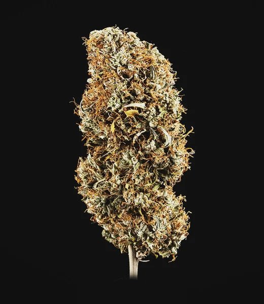 Royal Queen Seeds Cookies Gelato Auto - 7SMART