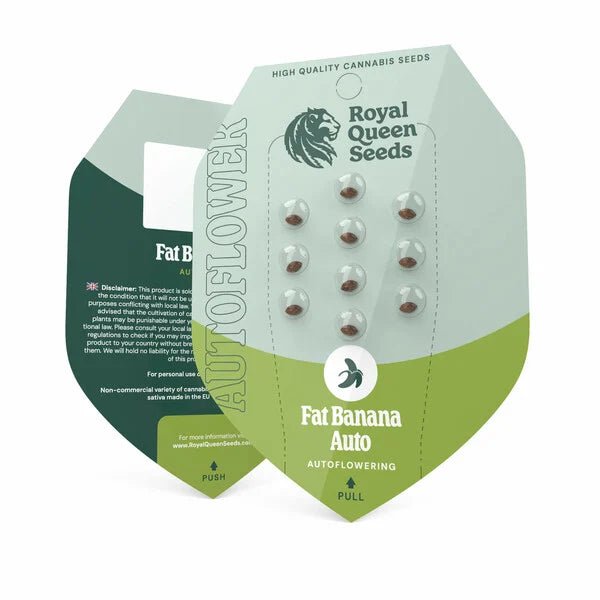Royal Queen Seeds Fat Banana Auto - 7SMART