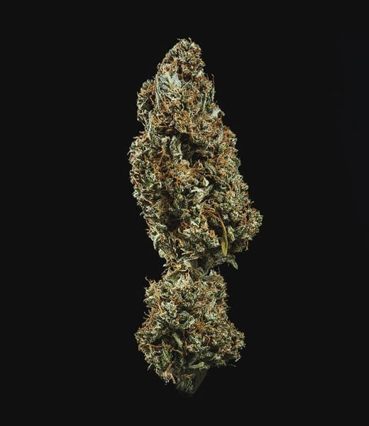 Royal Queen Seeds Fat Banana Auto - 7SMART