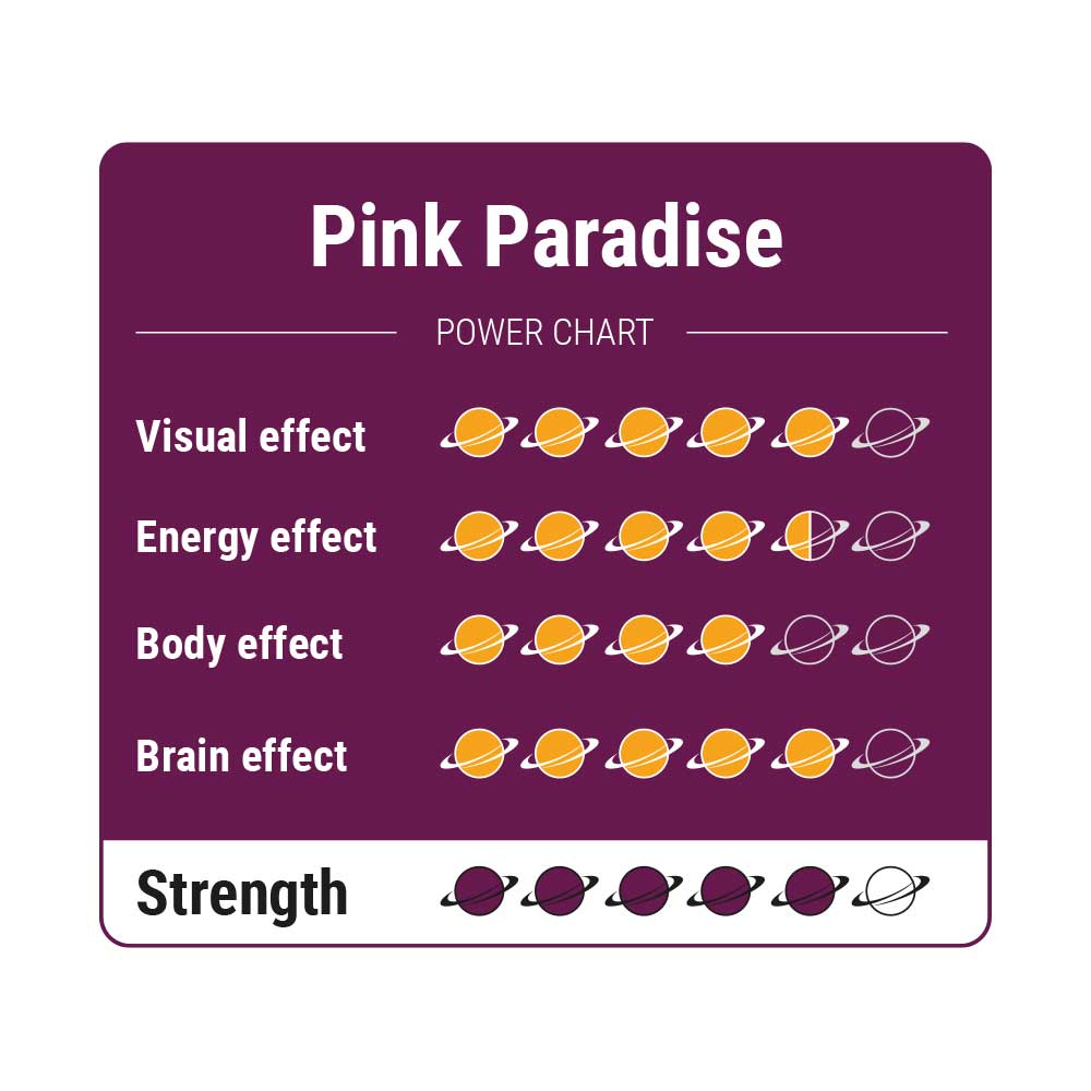 Pink Paradise - 15 gram - 7SMART