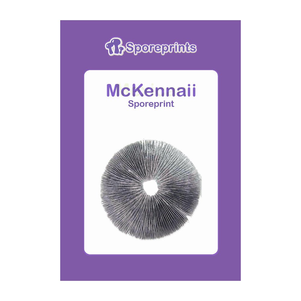 McKennaii Sporeprint - 7SMART