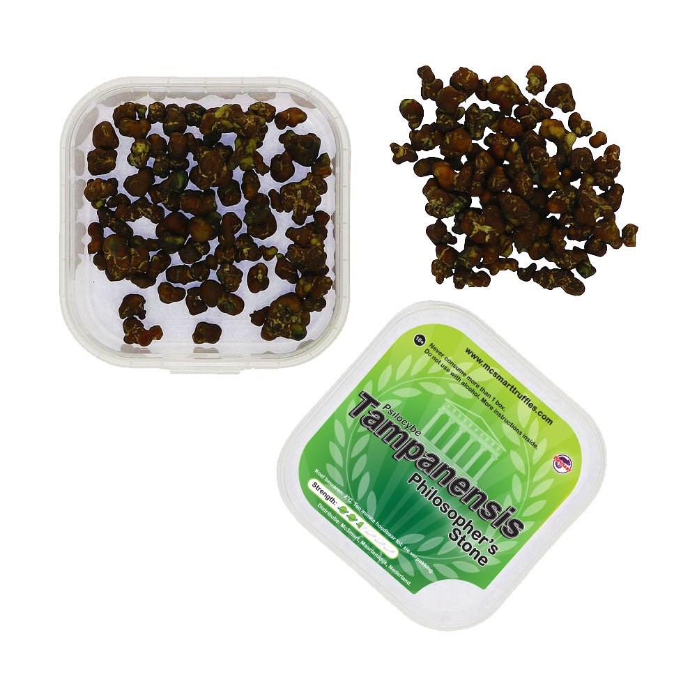 Tampanensis Magic Truffels - 15 gram - 7SMART