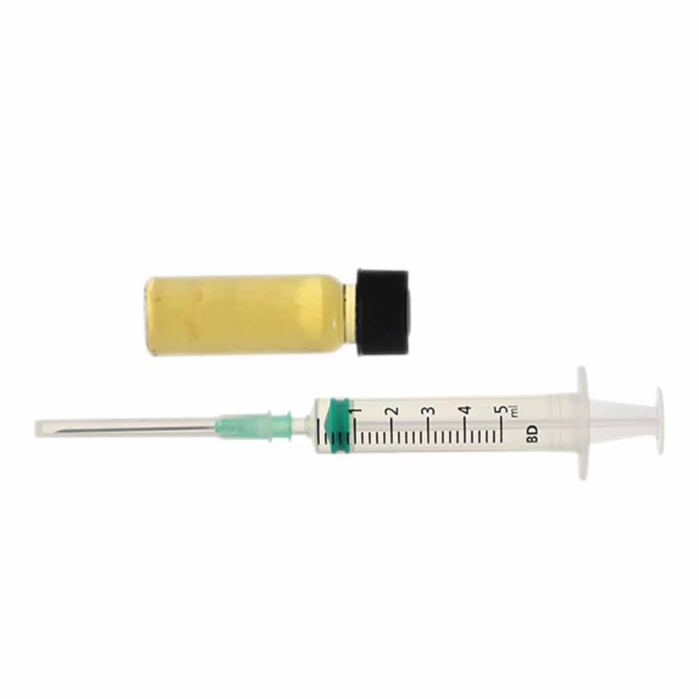 Ecuadorian Magic Mushroom - Culture Ampoule Set - 7SMART